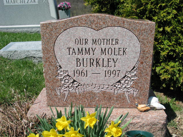 Tammy Molek Burkley